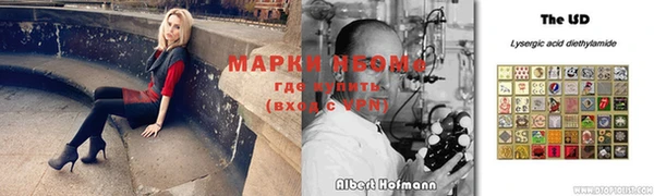 кокс Аркадак